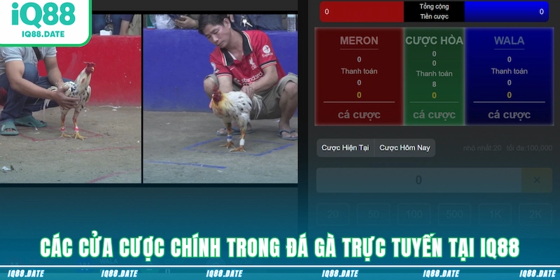 Các cửa cược chính trong đá gà trực tuyến tại IQ88