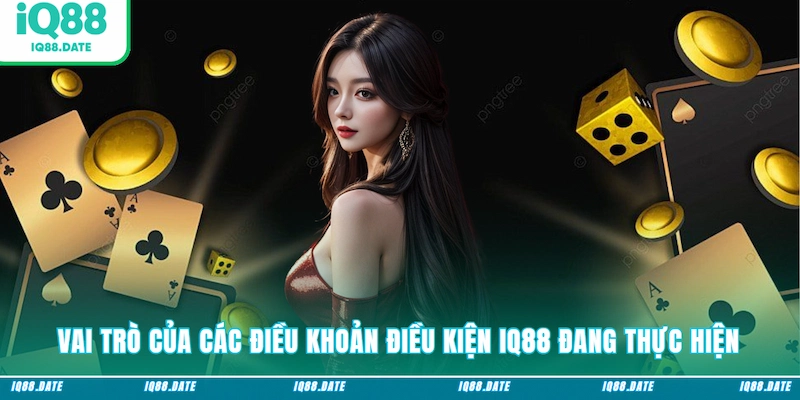 Vai trò của các điều khoản điều kiện IQ88 đang thực hiện