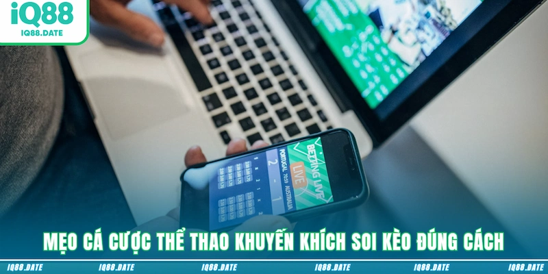 Mẹo cá cược thể thao khuyến khích soi kèo đúng cách