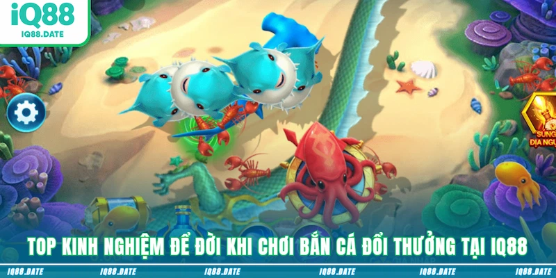 Top kinh nghiệm để đời khi chơi bắn cá đổi thưởng tại IQ88