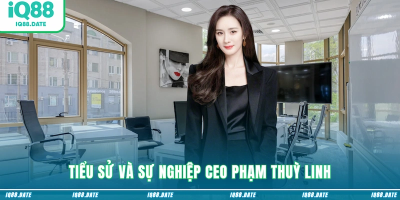 Tiểu sử và sự nghiệp CEO Phạm Thuỳ Linh