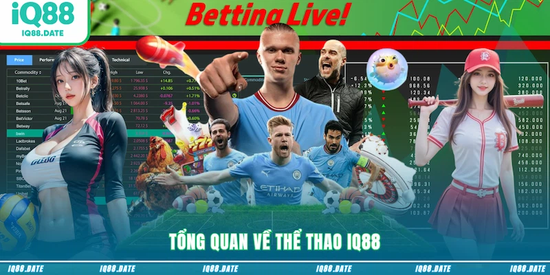 Tổng quan về Thể thao IQ88